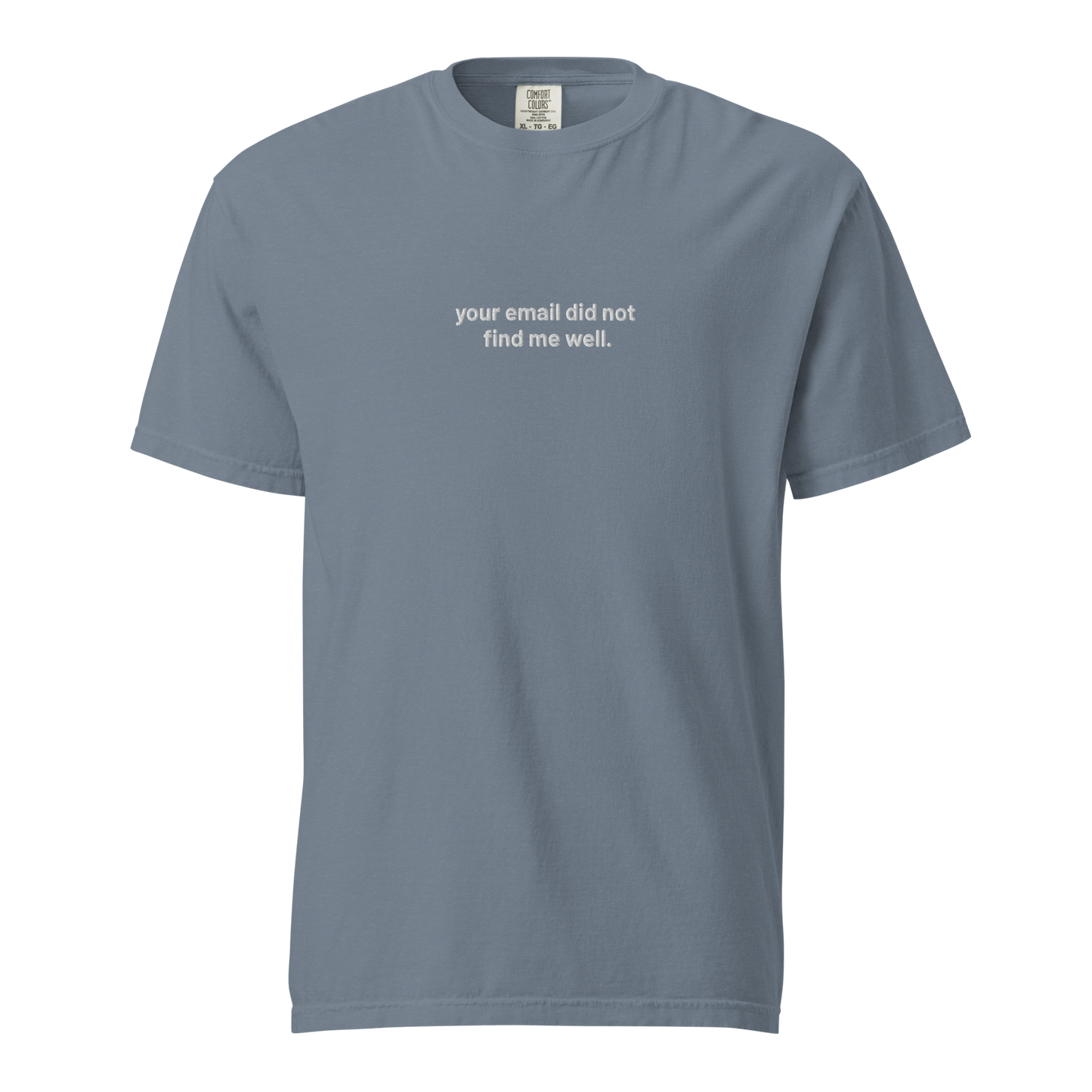 'your email did not find me well.' embroidered t-shirt
