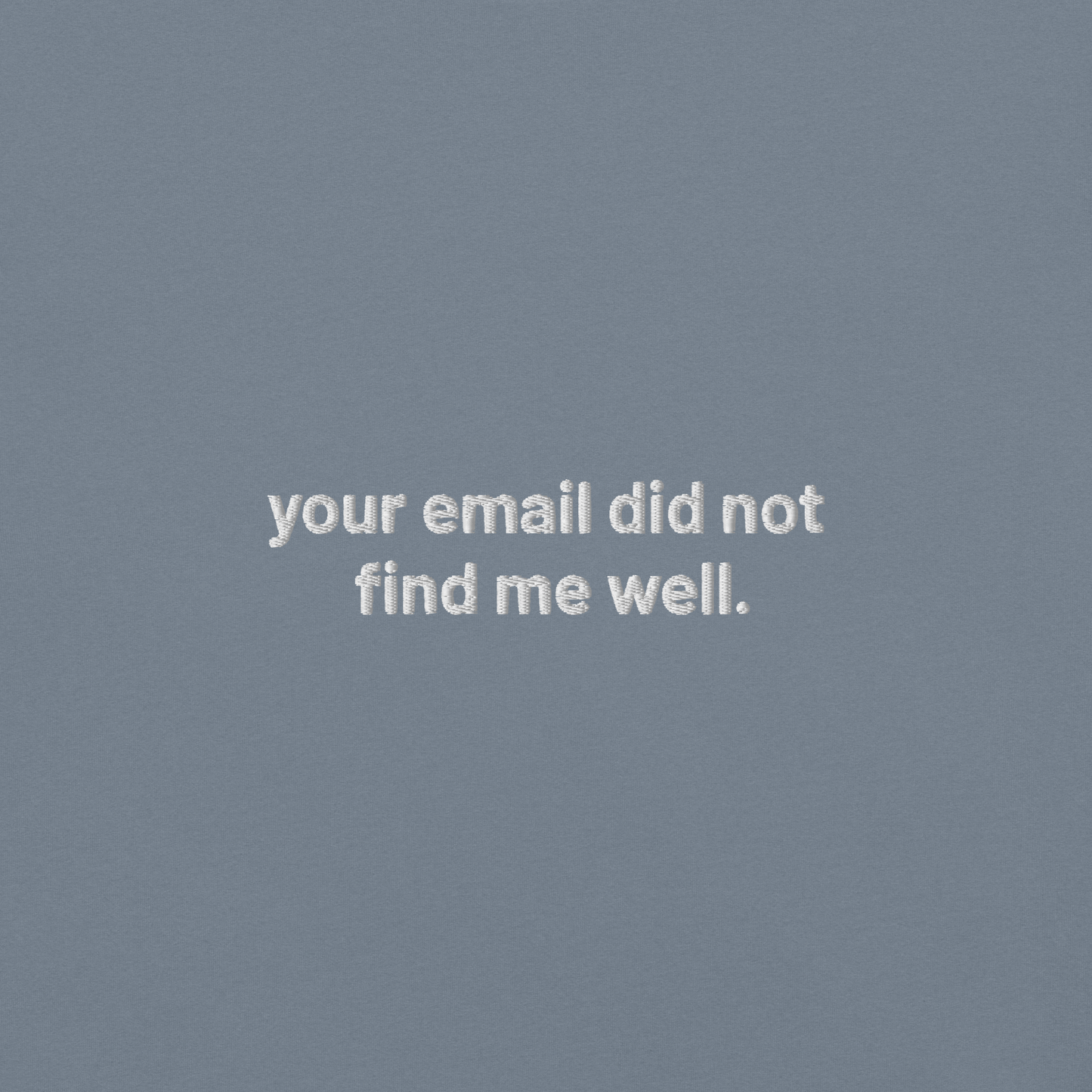 'your email did not find me well.' embroidered t-shirt