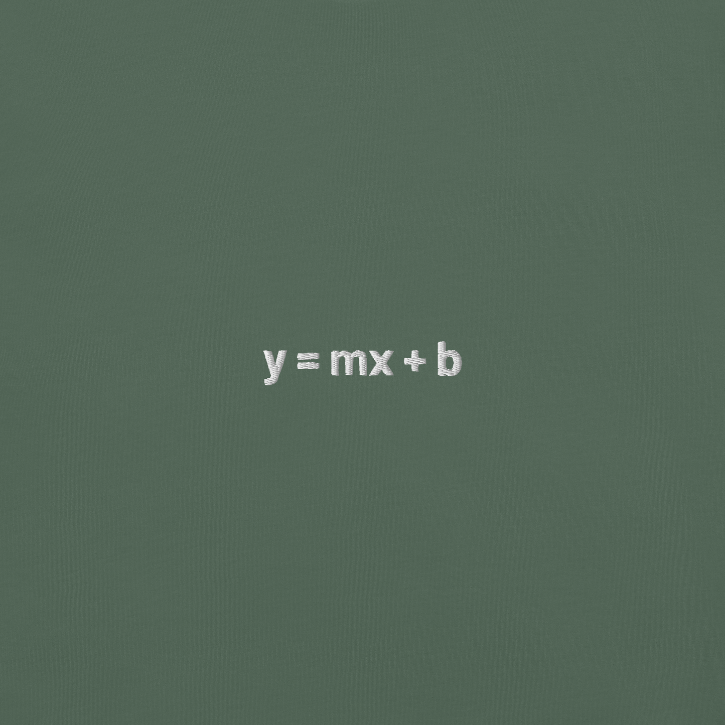 'y = mx + b' embroidered t-shirt