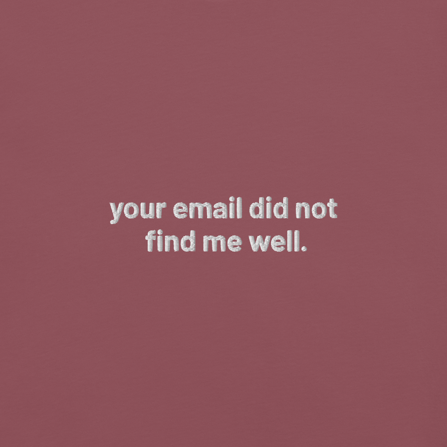 'your email did not find me well.' embroidered t-shirt