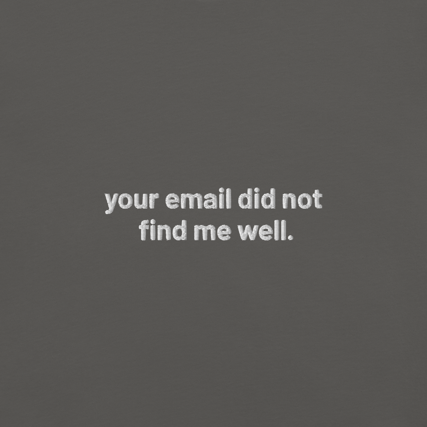 'your email did not find me well.' embroidered t-shirt