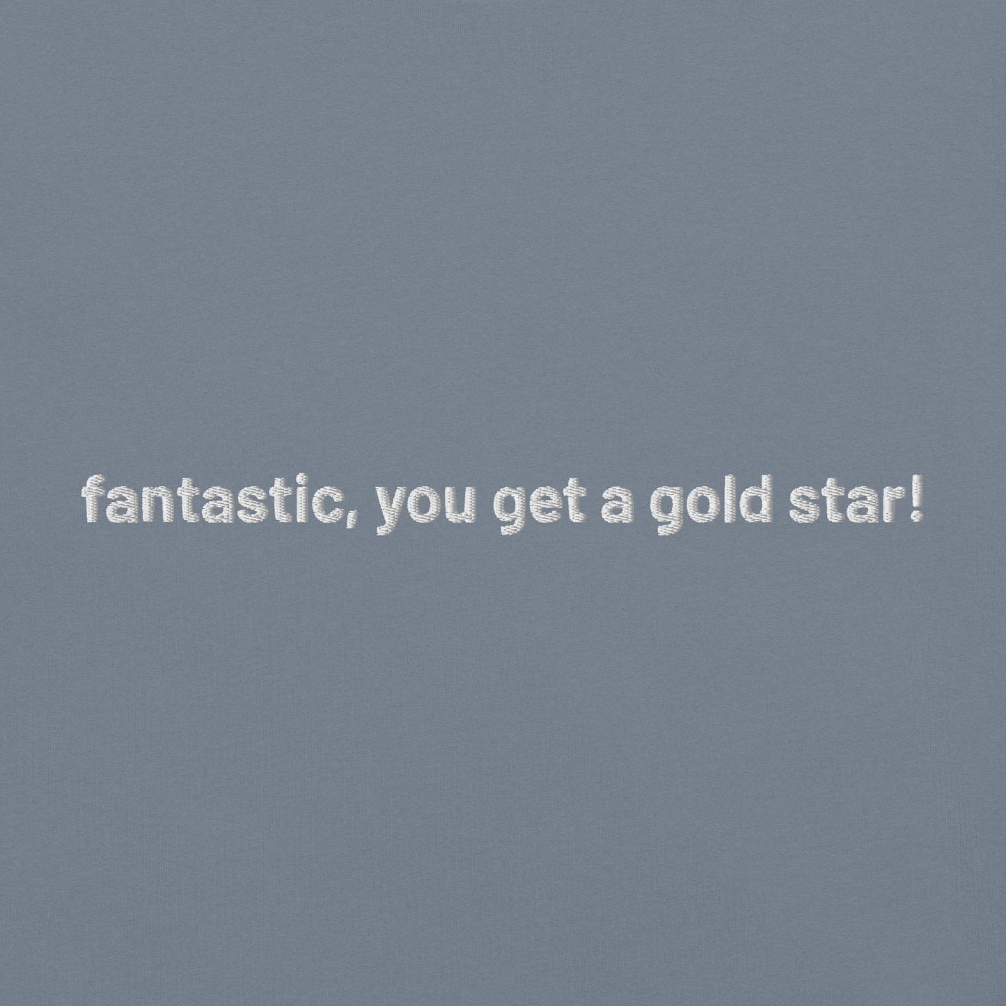 'fantastic, you get a gold star!' embroidered t-shirt